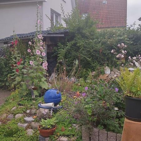Charmante Ferienwohnung Ploen Exterior photo
